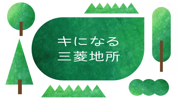 三菱地所グループ木造・木質化事業のブランド化