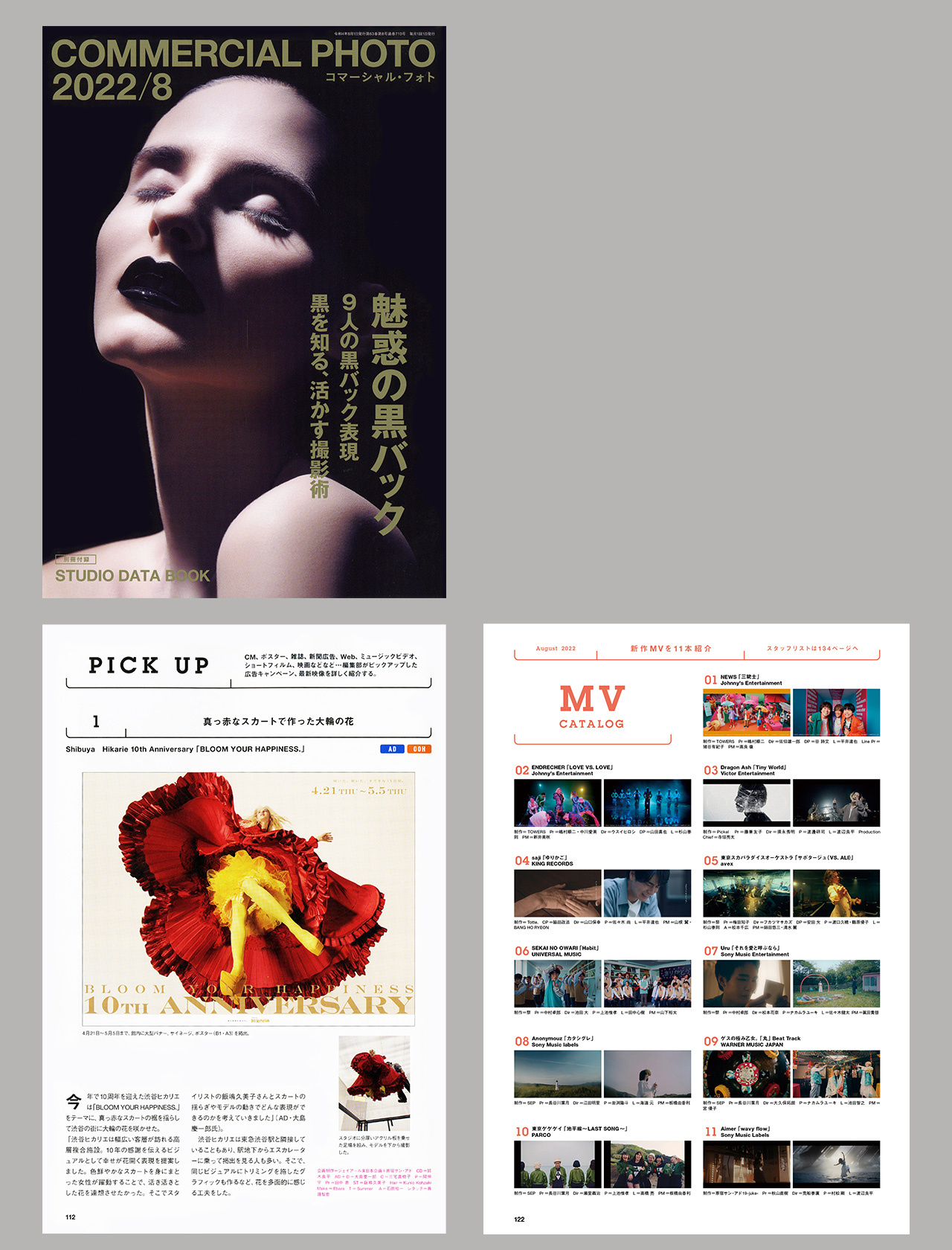 478円 最大61%OFFクーポン 年鑑日本の広告写真 ２０１４ コマーシャル フォトシリーズ 日本広告写真家協会 その他